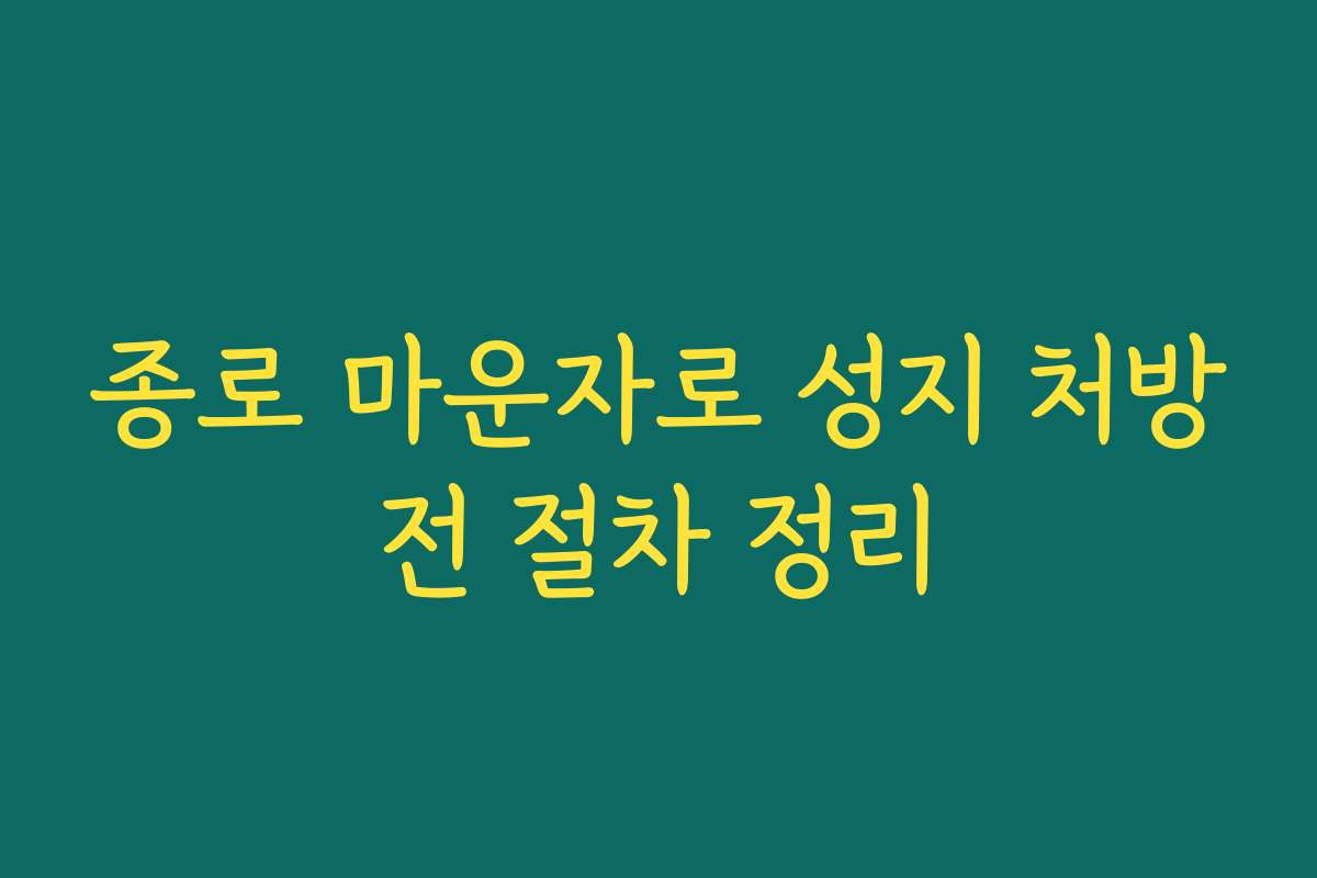 종로 마운자로 성지 처방전 절차 정리