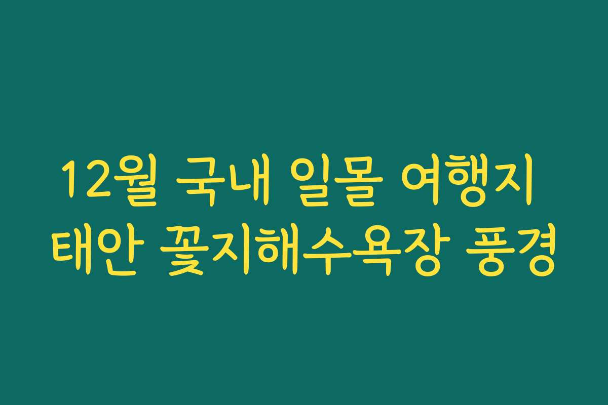 12월 국내 일몰 여행지 태안 꽃지해수욕장 풍경