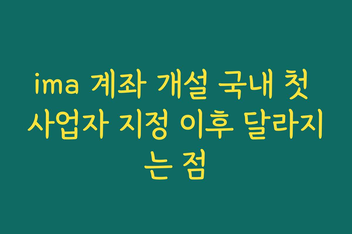 ima 계좌 개설 국내 첫 사업자 지정 이후 달라지는 점 ima 계좌 개설 국내 첫 사업자 지정 이후 달라지는 점