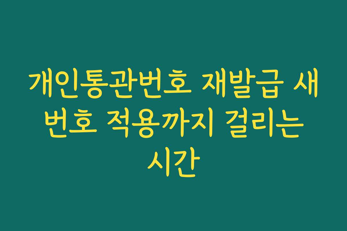 개인통관번호 재발급 새 번호 적용까지 걸리는 시간