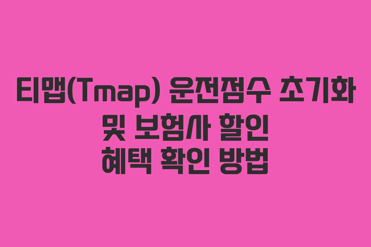 티맵(Tmap) 운전점수 초기화 및 보험사 할인 혜택 확인 방법 티맵(Tmap) 운전점수 초기화 및 보험사 할인 혜택 확인 방법