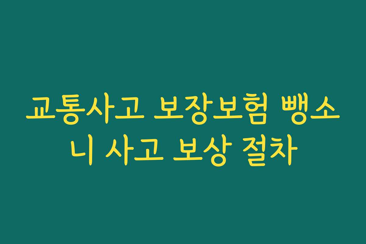 교통사고 보장보험 뺑소니 사고 보상 절차 교통사고 보장보험 뺑소니 사고 보상 절차