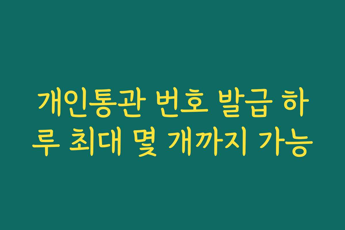 개인통관 번호 발급 하루 최대 몇 개까지 가능 개인통관 번호 발급 하루 최대 몇 개까지 가능