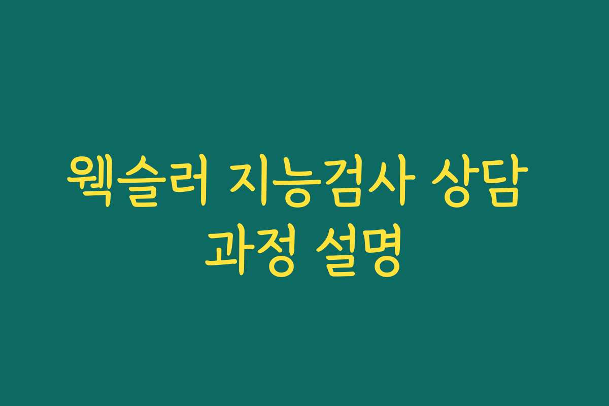 웩슬러 지능검사 상담 과정 설명 웩슬러 지능검사 상담 과정 설명