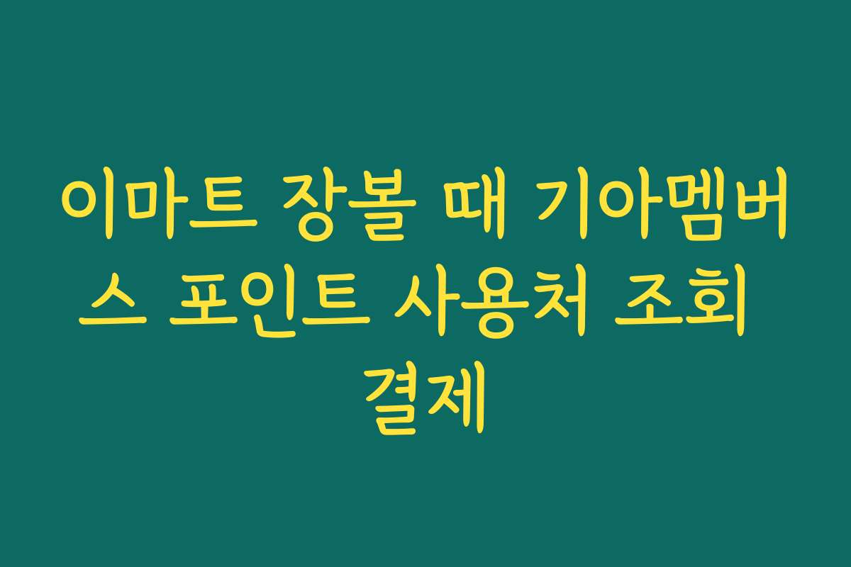 이마트 장볼 때 기아멤버스 포인트 사용처 조회 결제 이마트 장볼 때 기아멤버스 포인트 사용처 조회 결제