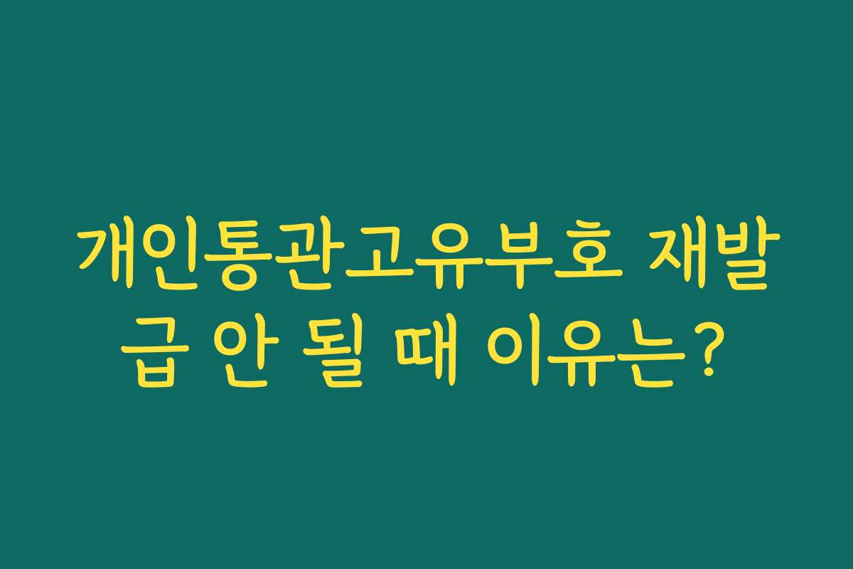 개인통관고유부호 재발급 안 될 때 이유는? 개인통관고유부호 재발급 안 될 때 이유는?