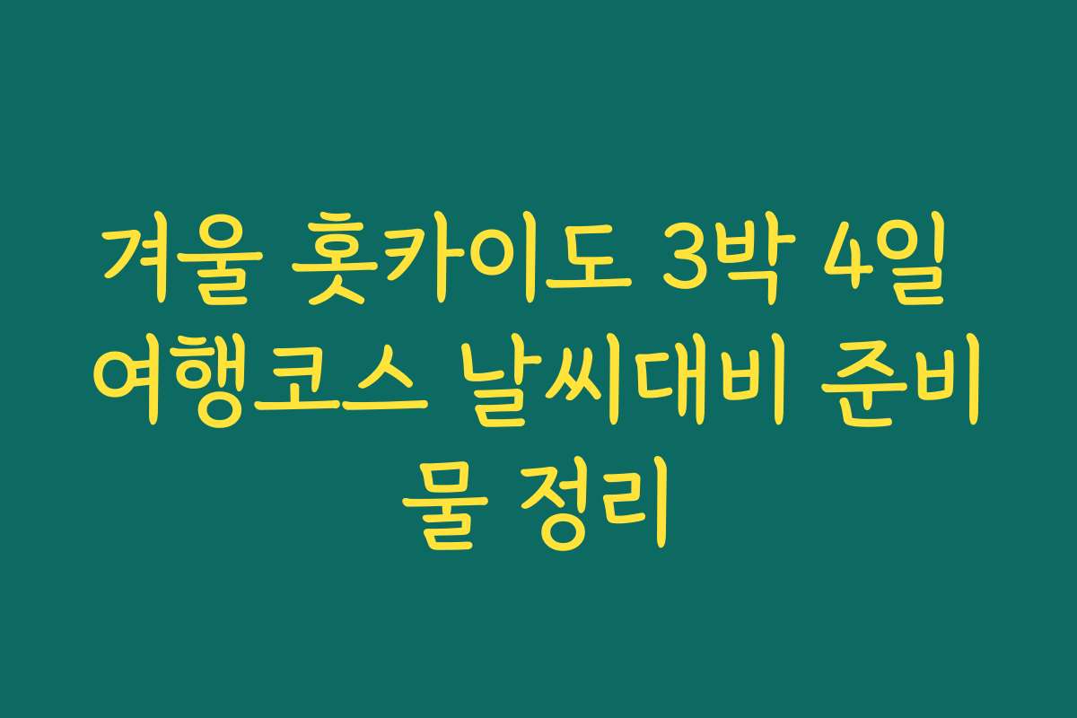 겨울 홋카이도 3박 4일 여행코스 날씨대비 준비물 정리 겨울 홋카이도 3박 4일 여행코스 날씨대비 준비물 정리