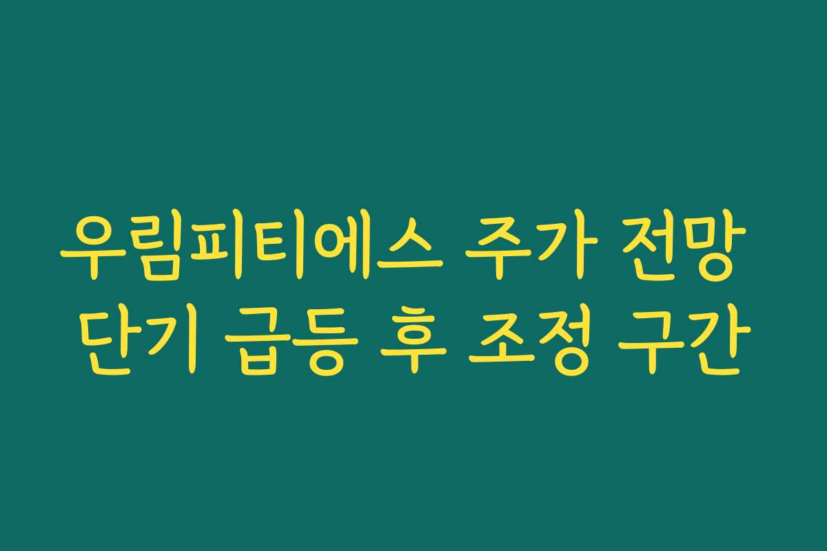 우림피티에스 주가 전망 단기 급등 후 조정 구간 우림피티에스 주가 전망 단기 급등 후 조정 구간