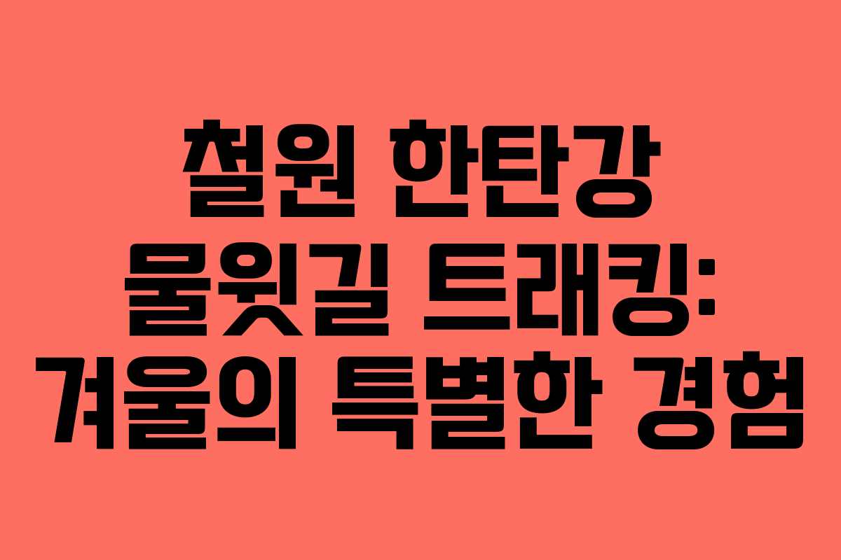 철원 한탄강 물윗길 트래킹: 겨울의 특별한 경험 철원 한탄강 물윗길 트래킹: 겨울의 특별한 경험