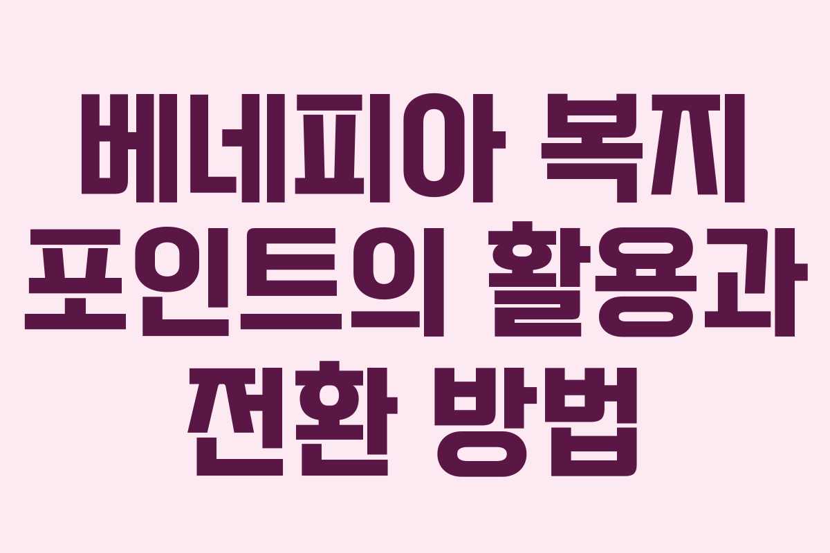 베네피아 복지 포인트의 활용과 전환 방법 베네피아 복지 포인트의 활용과 전환 방법