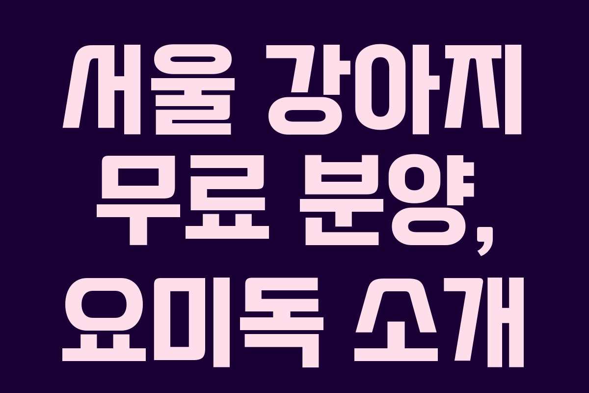 서울 강아지 무료 분양, 요미독 소개 서울 강아지 무료 분양, 요미독 소개
