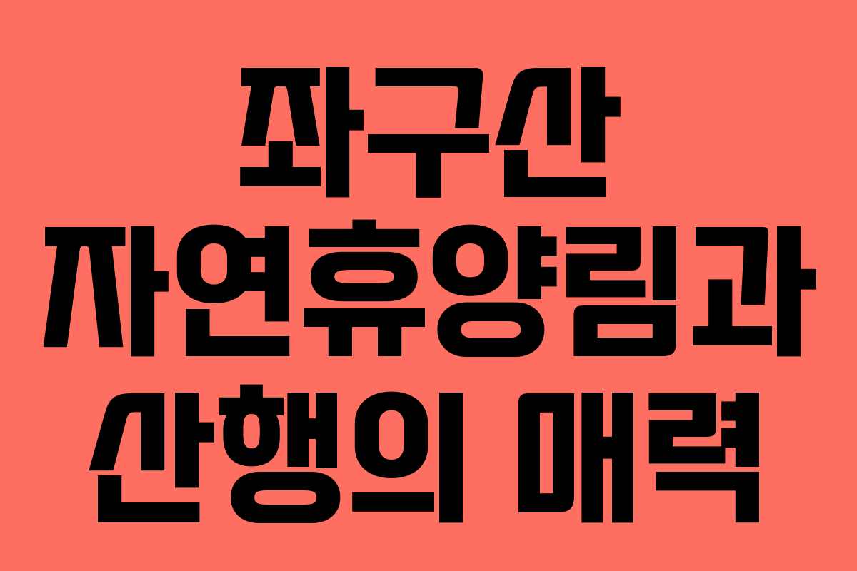 좌구산 자연휴양림과 산행의 매력 좌구산 자연휴양림과 산행의 매력