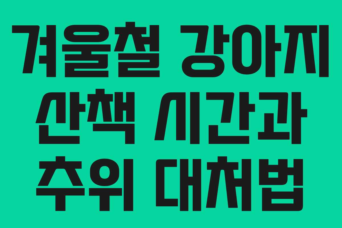 겨울철 강아지 산책 시간과 추위 대처법
