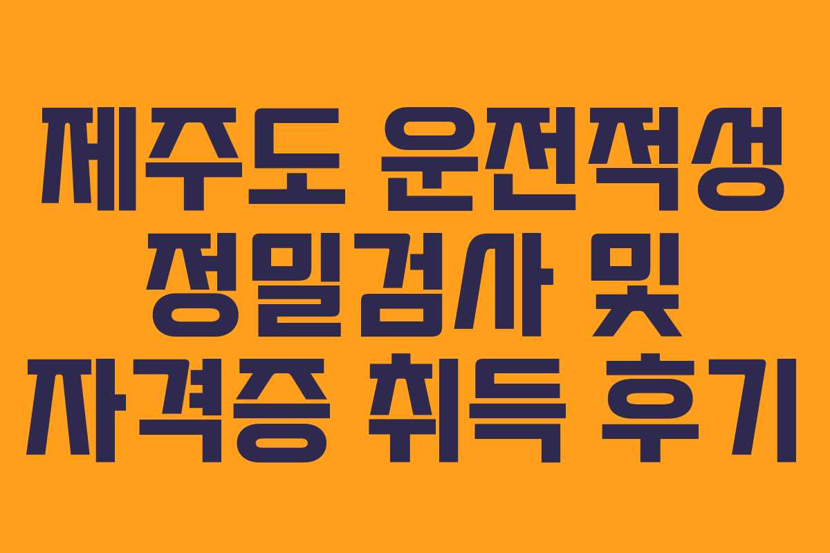 제주도 운전적성 정밀검사 및 자격증 취득 후기