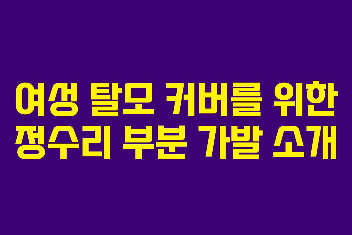 여성 탈모 커버를 위한 정수리 부분 가발 소개
