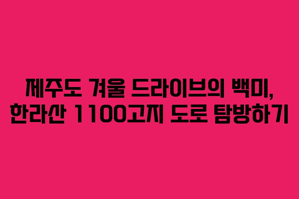 제주도 겨울 드라이브의 백미, 한라산 1100고지 도로 탐방하기