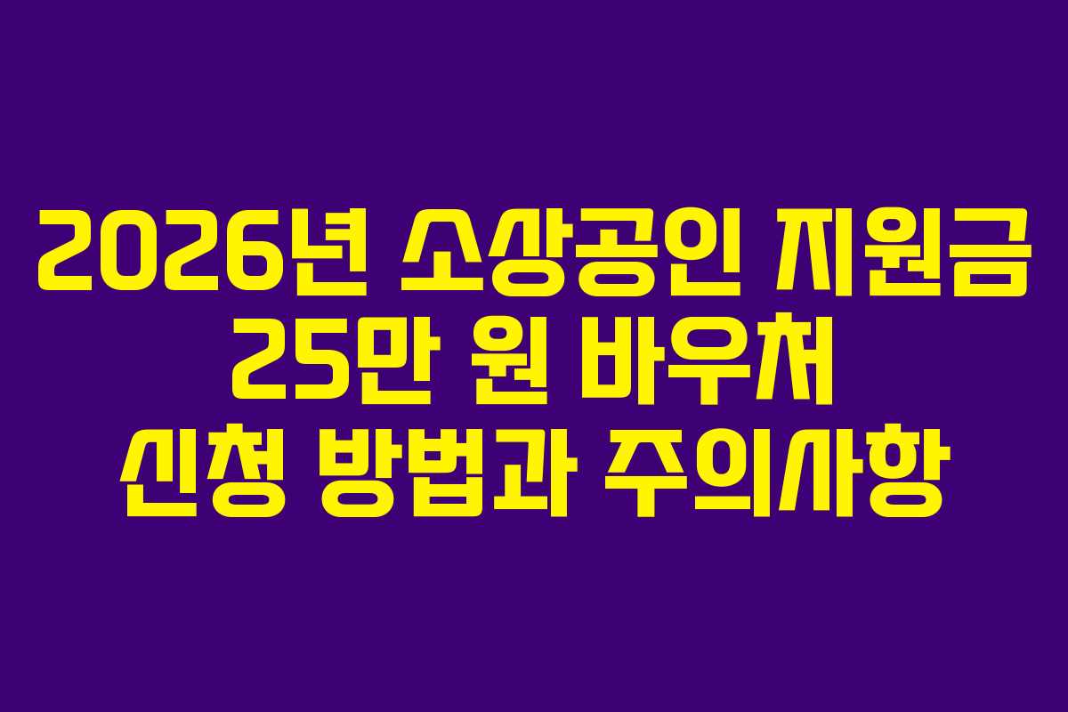 2026년 소상공인 지원금 25만 원 바우처 신청 방법과 주의사항