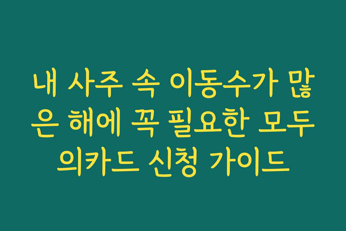 내 사주 속 이동수가 많은 해에 꼭 필요한 모두의카드 신청 가이드