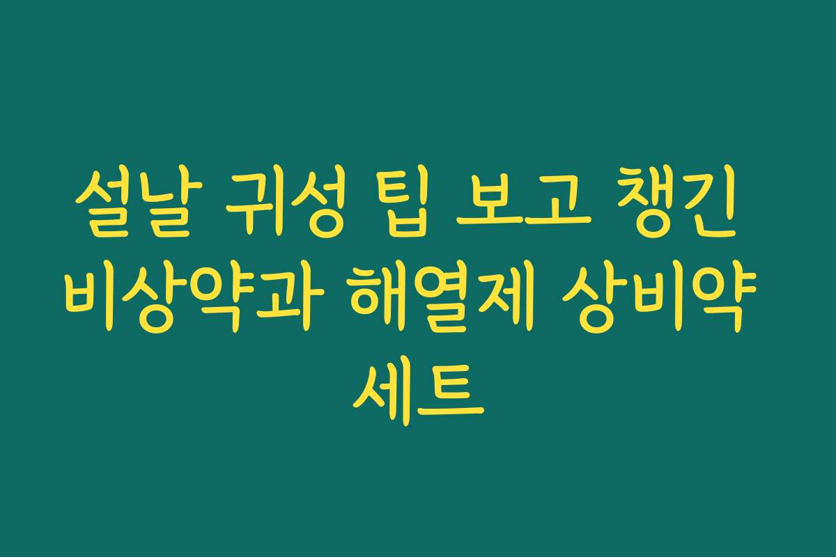 설날 귀성 팁 보고 챙긴 비상약과 해열제 상비약 세트
