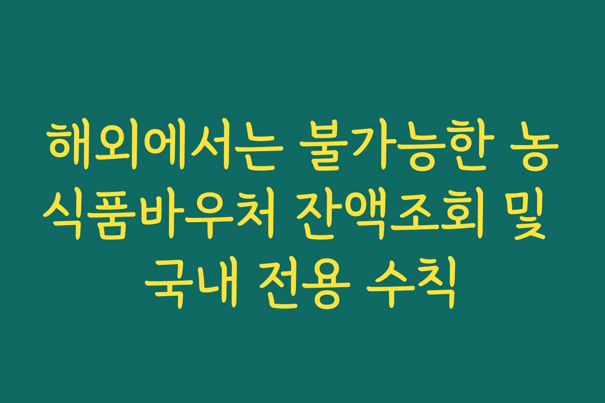 해외에서는 불가능한 농식품바우처 잔액조회 및 국내 전용 수칙