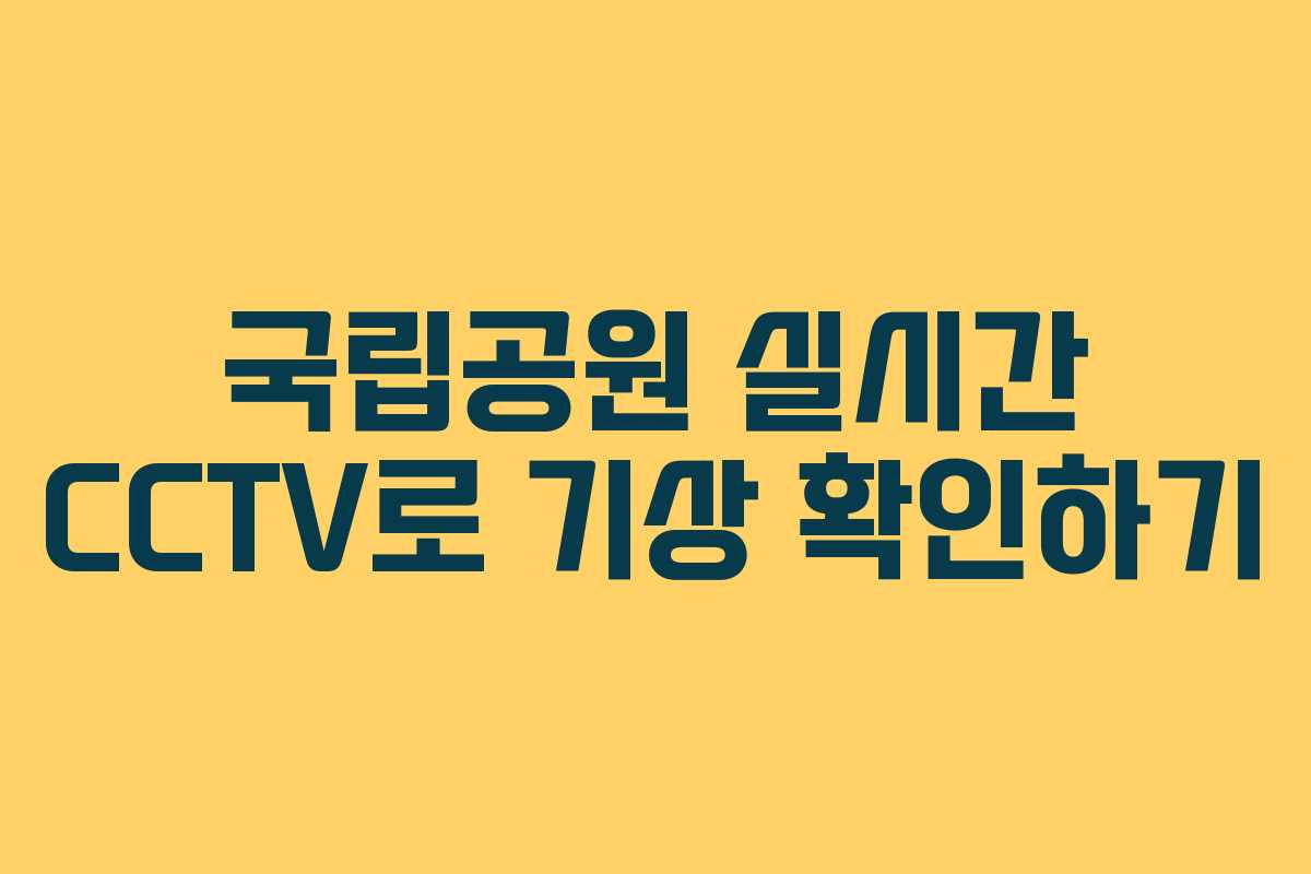 국립공원 실시간 CCTV로 기상 확인하기