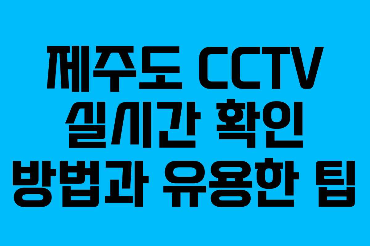 제주도 CCTV 실시간 확인 방법과 유용한 팁