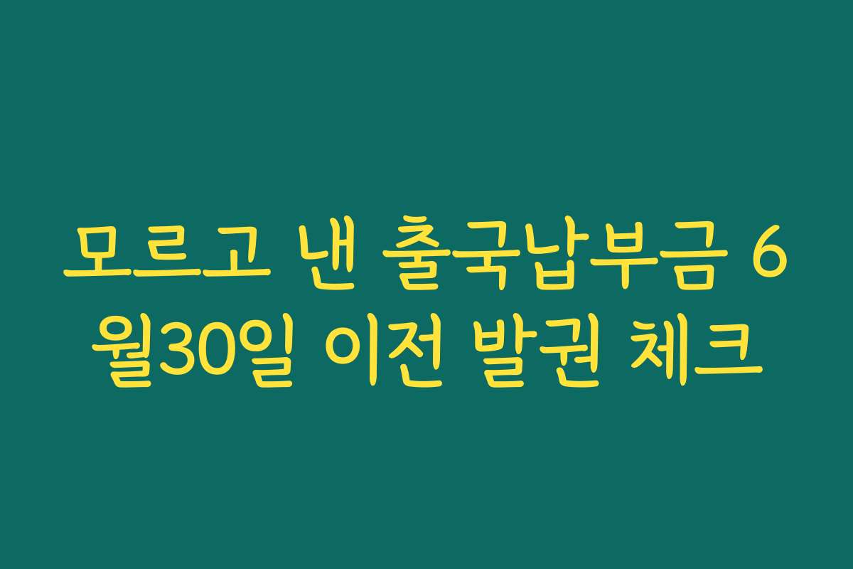 모르고 낸 출국납부금 6월30일 이전 발권 체크 모르고 낸 출국납부금 6월30일 이전 발권 체크