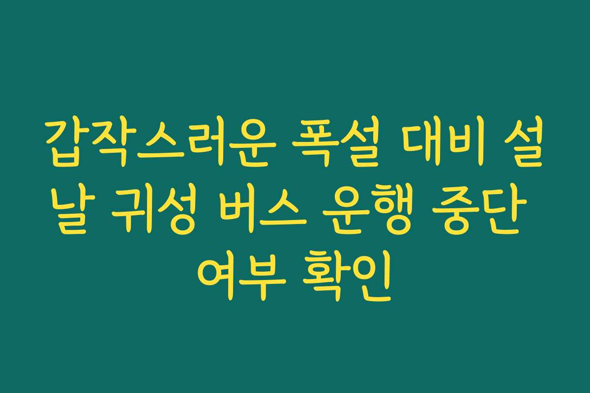 갑작스러운 폭설 대비 설날 귀성 버스 운행 중단 여부 확인