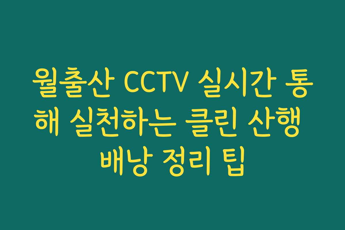 월출산 CCTV 실시간 통해 실천하는 클린 산행 배낭 정리 팁