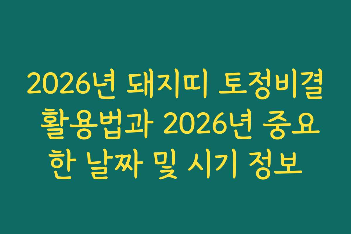2026년 돼지띠 토정비결 활용법과 2026년 중요한 날짜 및 시기 정보
