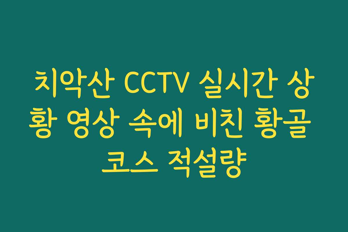 치악산 CCTV 실시간 상황 영상 속에 비친 황골 코스 적설량