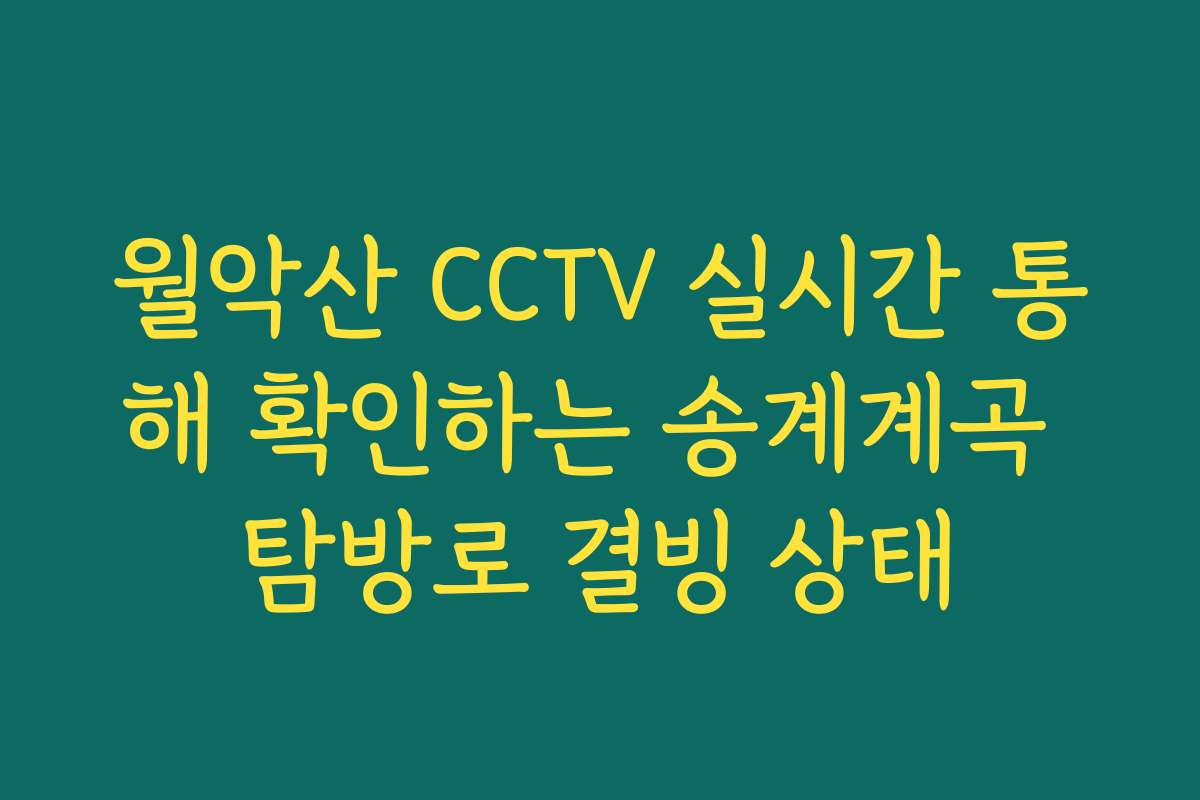 월악산 CCTV 실시간 통해 확인하는 송계계곡 탐방로 결빙 상태 월악산 CCTV 실시간 통해 확인하는 송계계곡 탐방로 결빙 상태