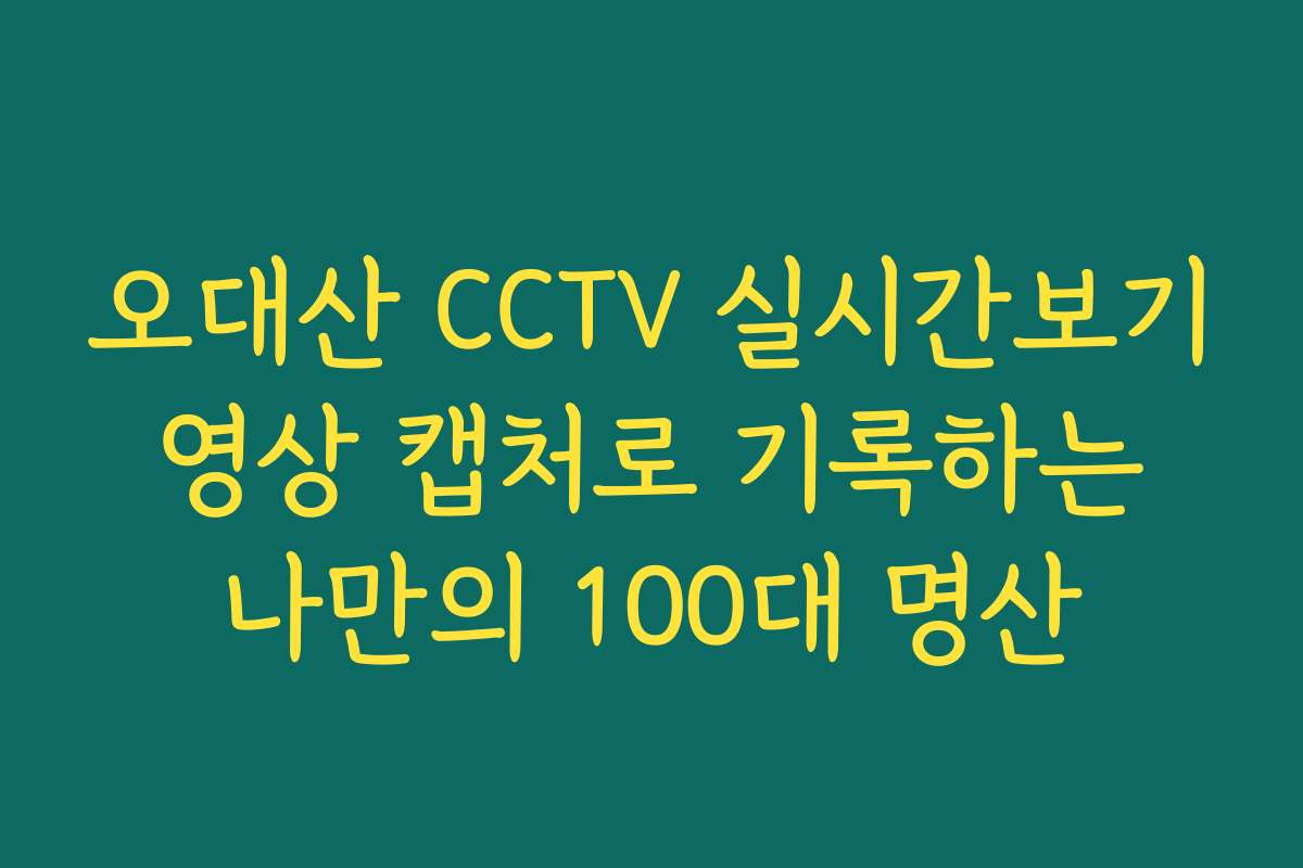 오대산 CCTV 실시간보기 영상 캡처로 기록하는 나만의 100대 명산
