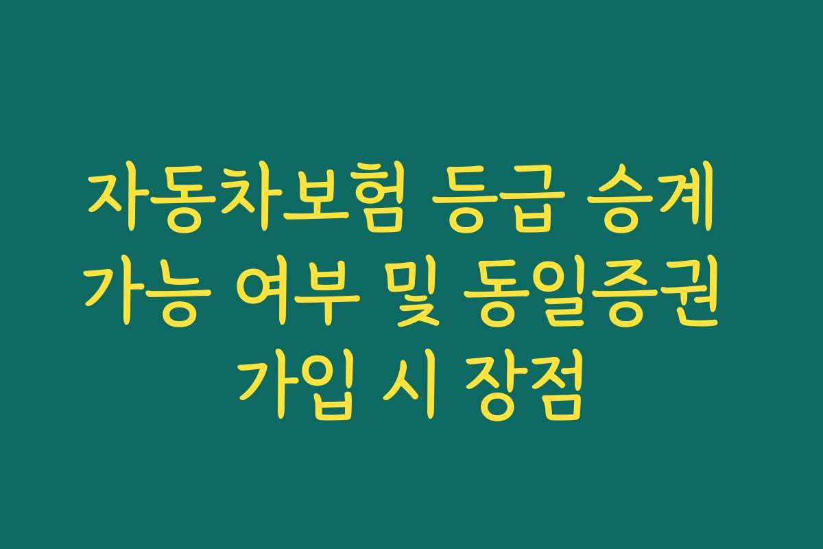 자동차보험 등급 승계 가능 여부 및 동일증권 가입 시 장점