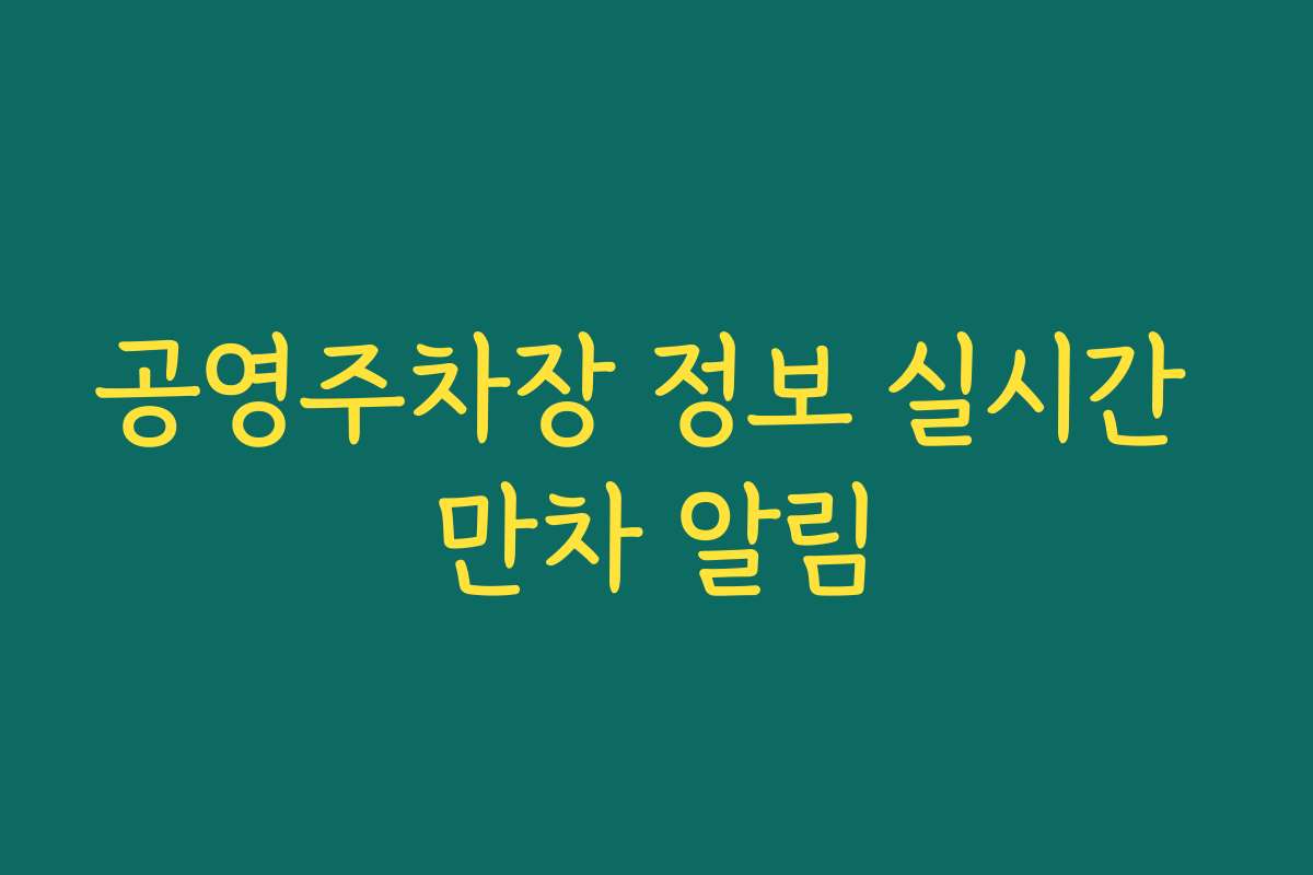 공영주차장 정보 실시간 만차 알림