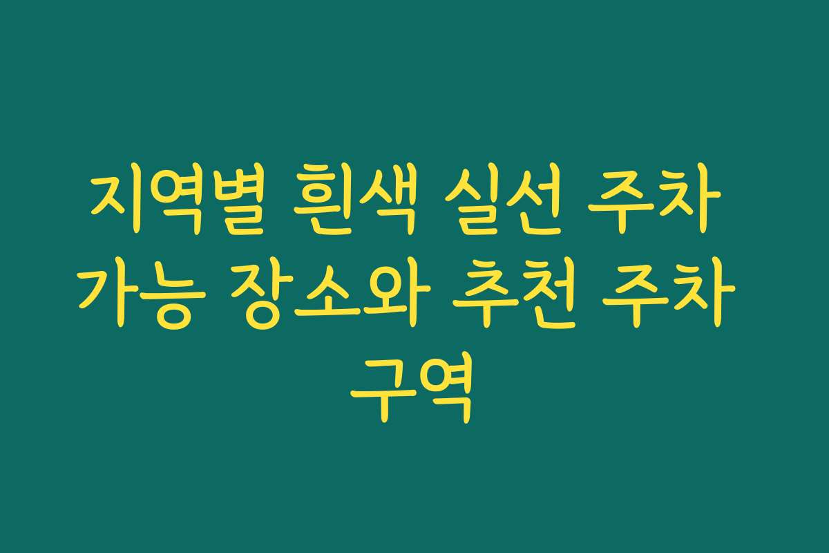 지역별 흰색 실선 주차 가능 장소와 추천 주차 구역 지역별 흰색 실선 주차 가능 장소와 추천 주차 구역
