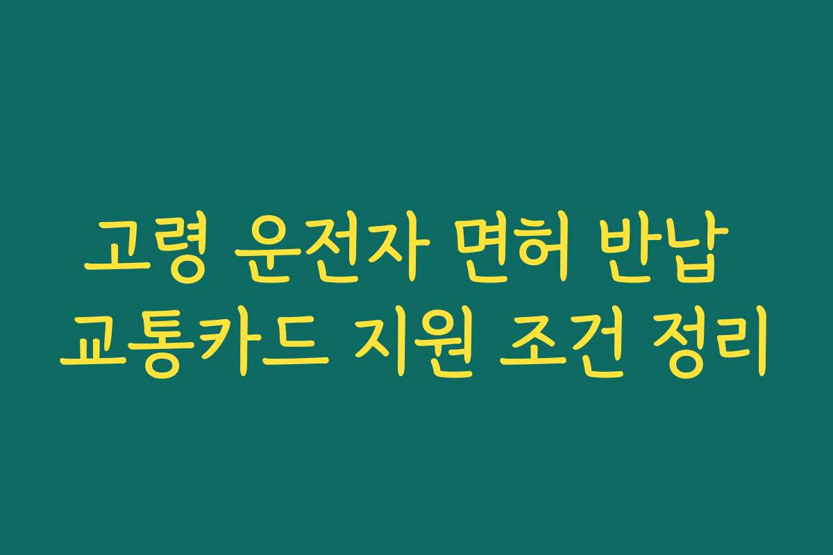 고령 운전자 면허 반납 교통카드 지원 조건 정리 고령 운전자 면허 반납 교통카드 지원 조건 정리