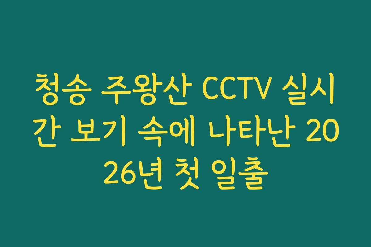 청송 주왕산 CCTV 실시간 보기 속에 나타난 2026년 첫 일출