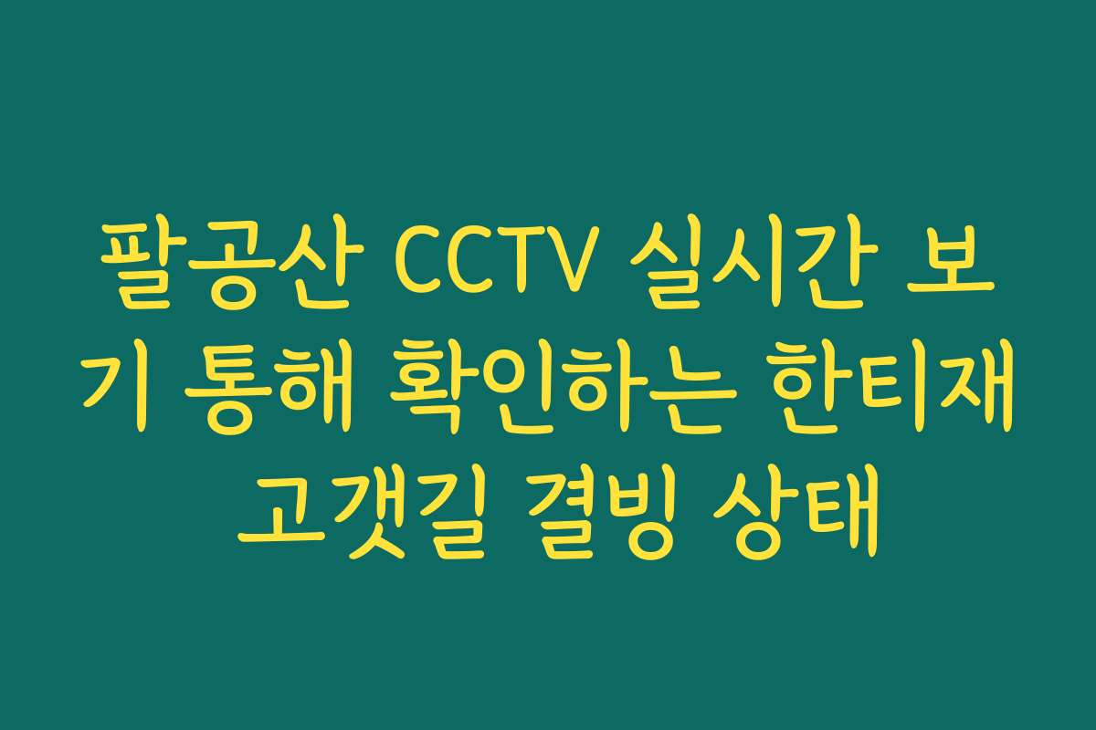 팔공산 CCTV 실시간 보기 통해 확인하는 한티재 고갯길 결빙 상태