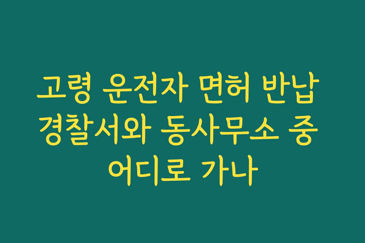 고령 운전자 면허 반납 경찰서와 동사무소 중 어디로 가나