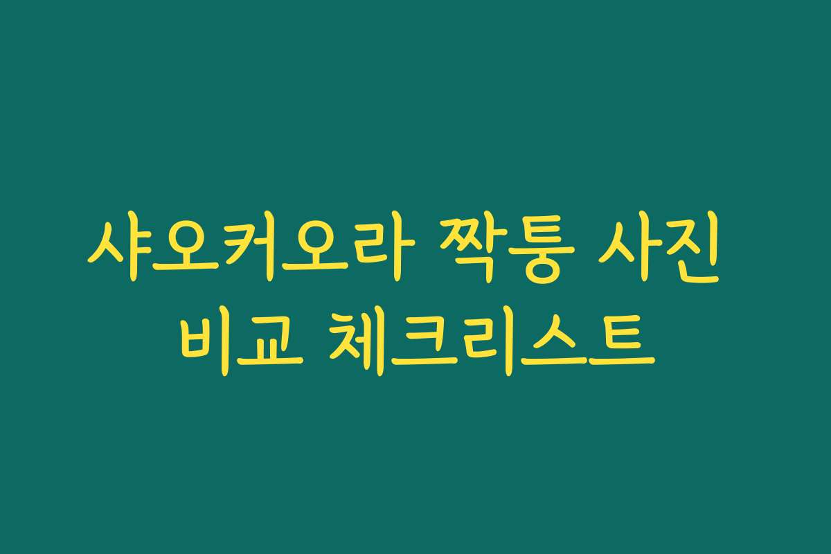 샤오커오라 짝퉁 사진 비교 체크리스트 샤오커오라 짝퉁 사진 비교 체크리스트