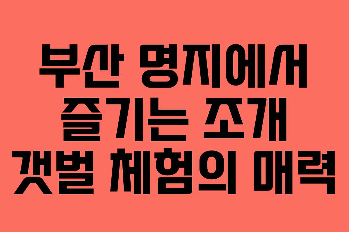 부산 명지에서 즐기는 조개 갯벌 체험의 매력
