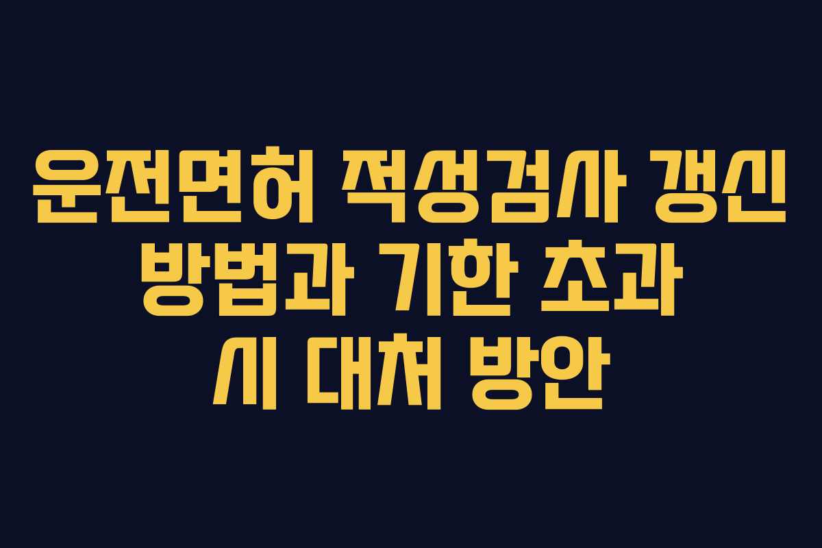 운전면허 적성검사 갱신 방법과 기한 초과 시 대처 방안