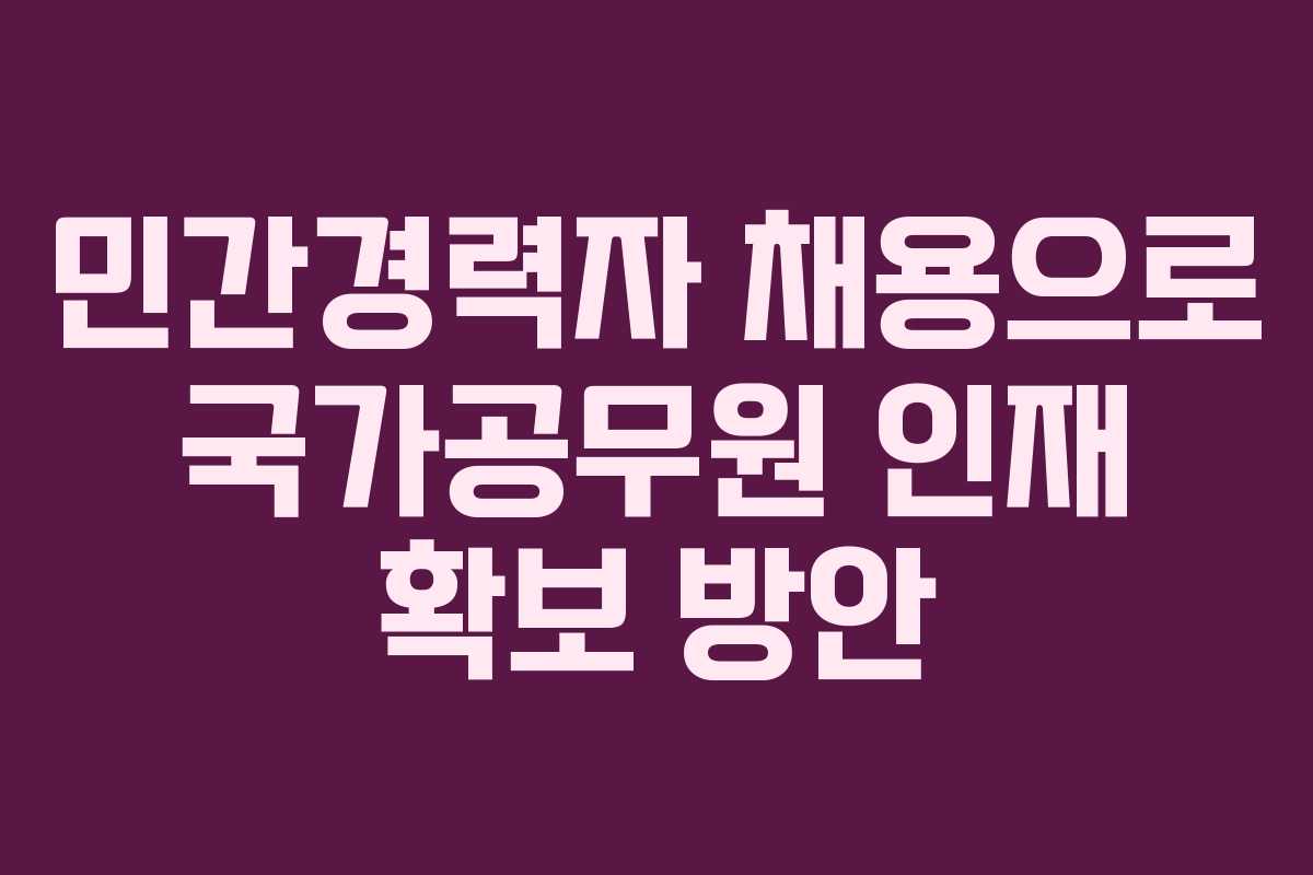 민간경력자 채용으로 국가공무원 인재 확보 방안