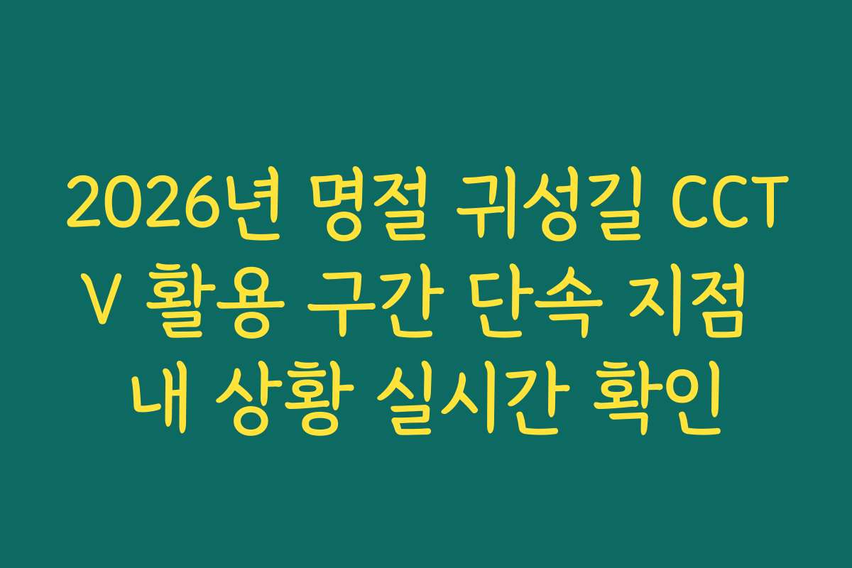 2026년 명절 귀성길 CCTV 활용 구간 단속 지점 내 상황 실시간 확인 2026년 명절 귀성길 CCTV 활용 구간 단속 지점 내 상황 실시간 확인