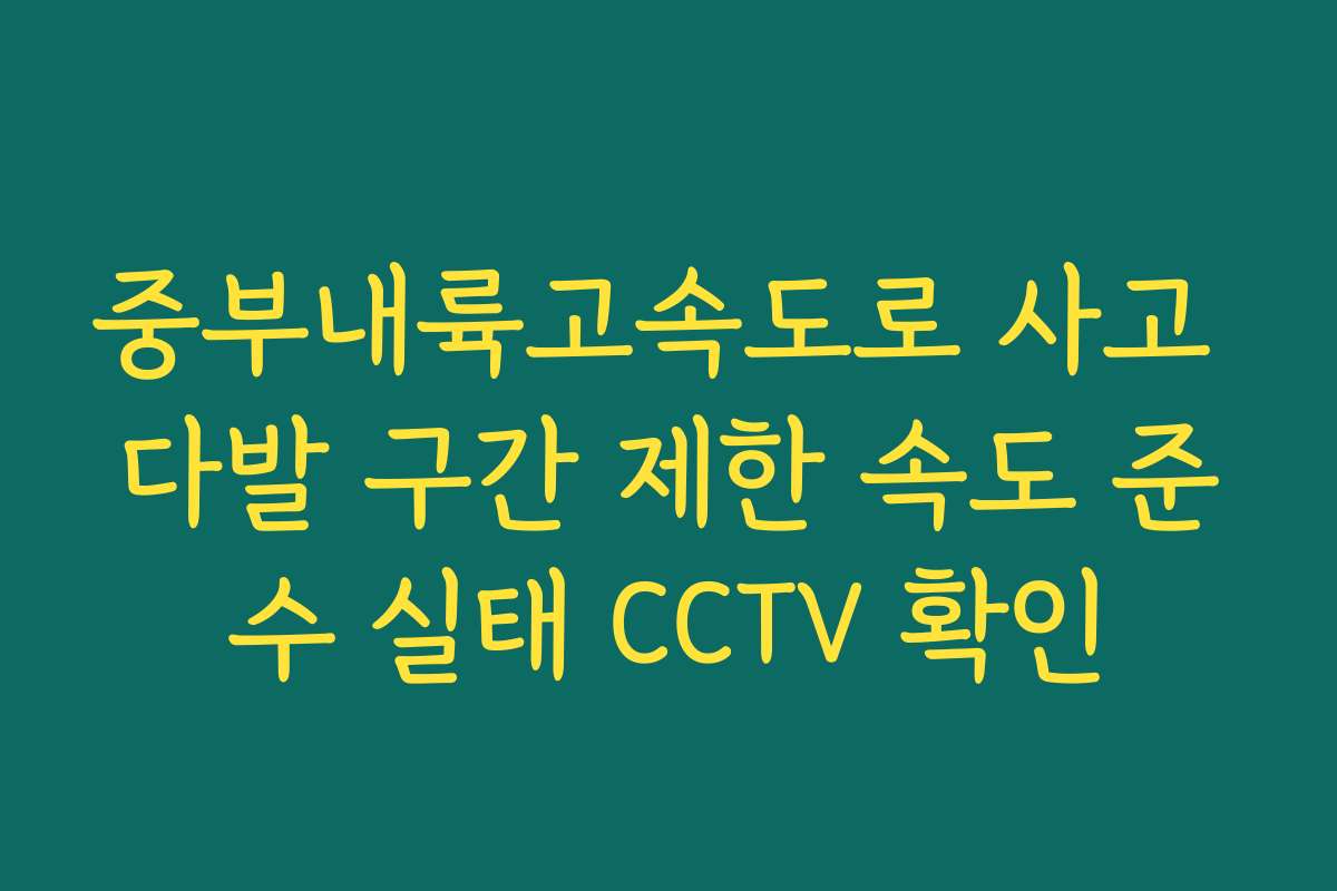 중부내륙고속도로 사고 다발 구간 제한 속도 준수 실태 CCTV 확인