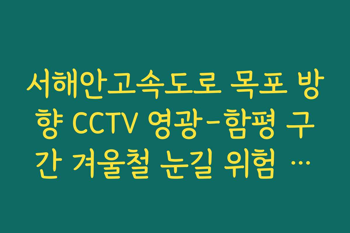 서해안고속도로 목포 방향 CCTV 영광-함평 구간 겨울철 눈길 위험 지점 서해안고속도로 목포 방향 CCTV 영광-함평 구간 겨울철 눈길 위험 지점