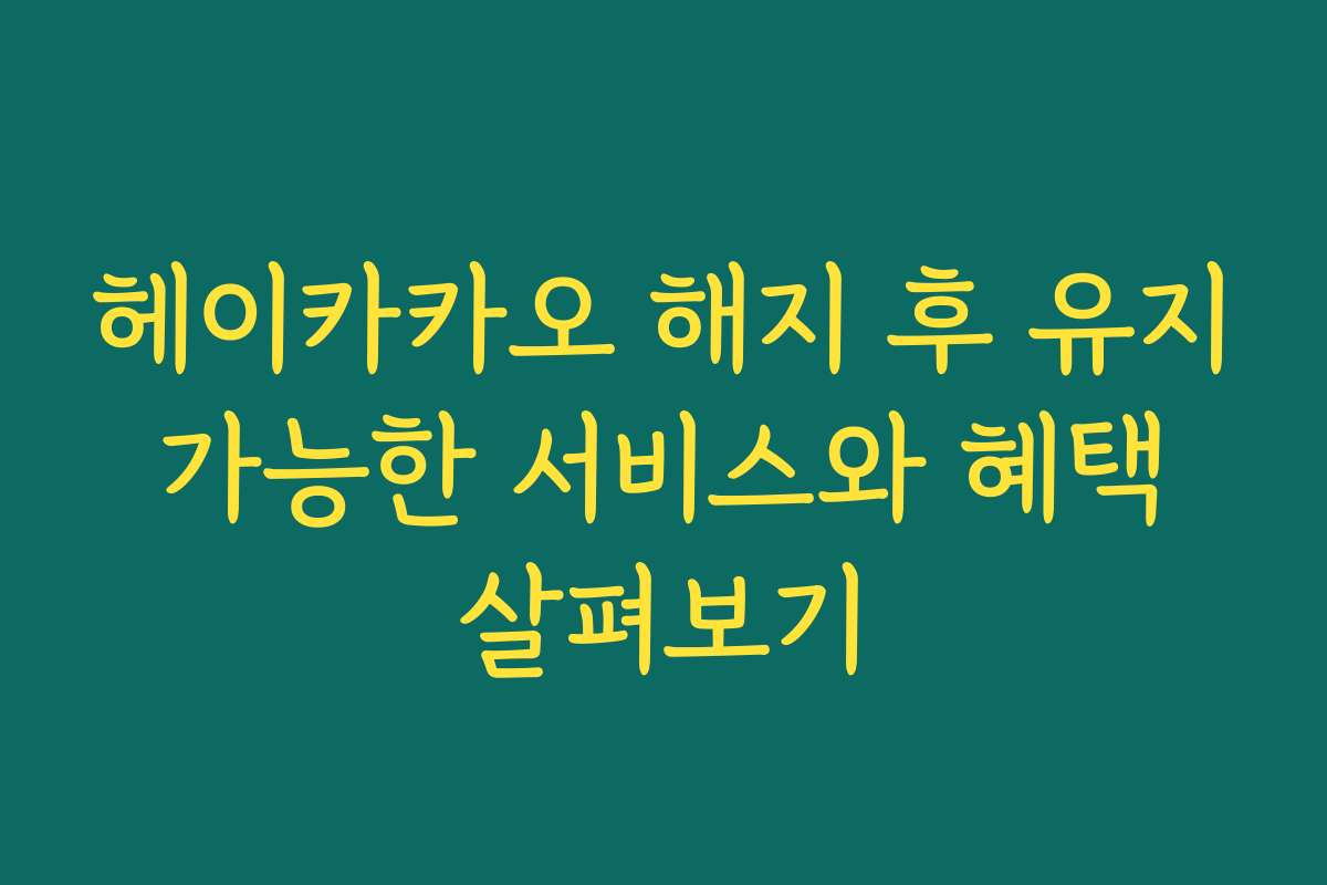 헤이카카오 해지 후 유지 가능한 서비스와 혜택 살펴보기