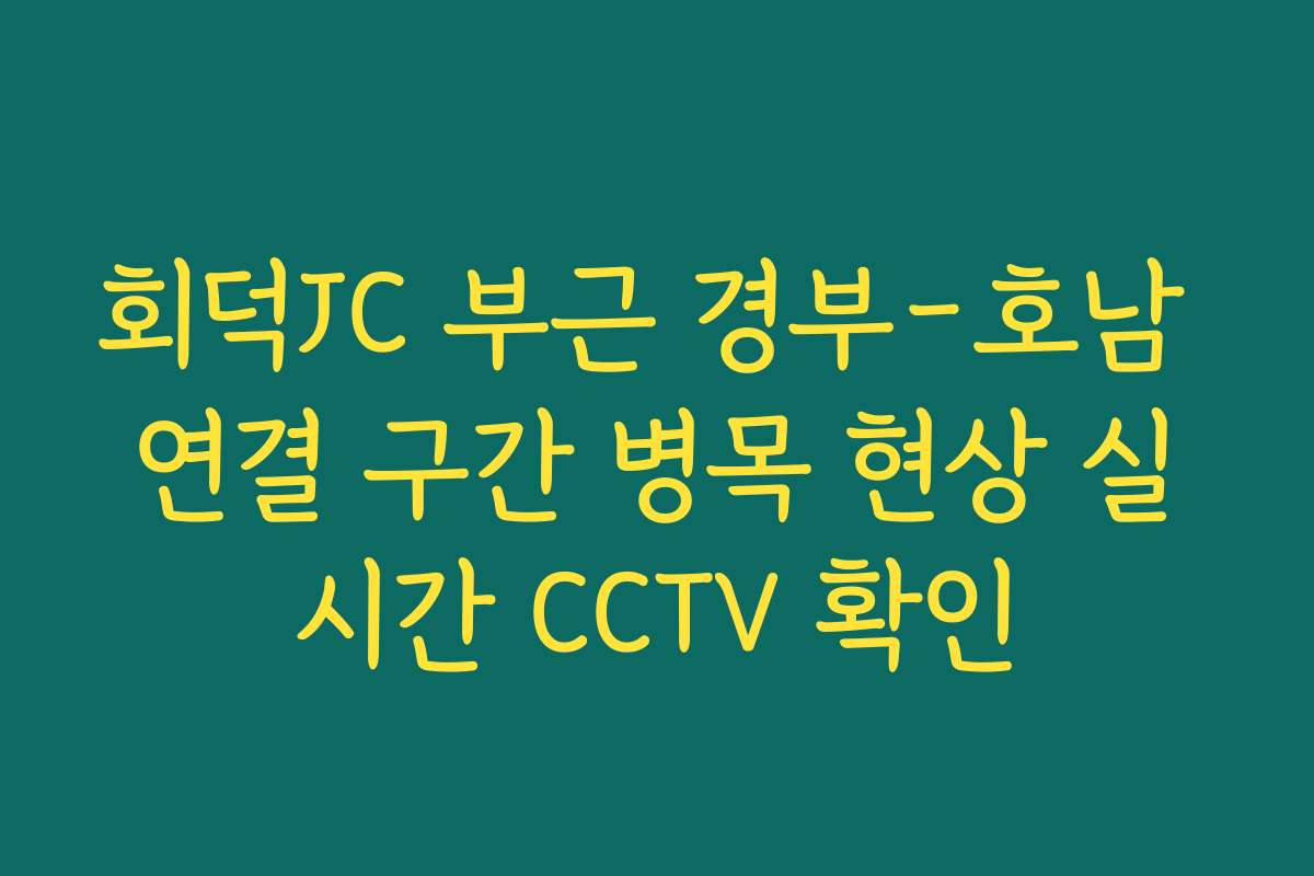 회덕JC 부근 경부-호남 연결 구간 병목 현상 실시간 CCTV 확인