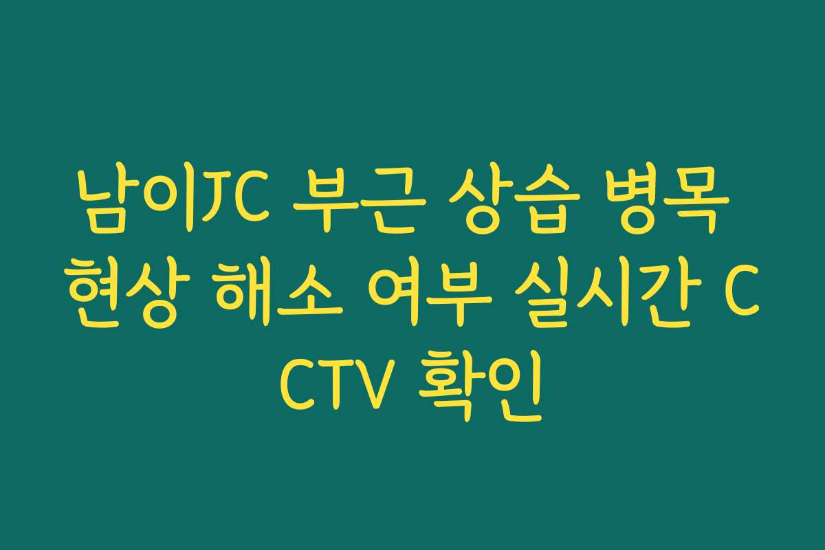 남이JC 부근 상습 병목 현상 해소 여부 실시간 CCTV 확인